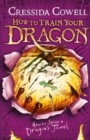 How to Train Your Dragon: How to Seize a Dragon's Jewel : Book 10 - eBook