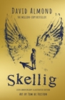 Skellig: the 25th anniversary illustrated edition - eBook