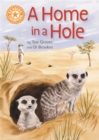 Reading Champion: A Home in a Hole : Independent Reading Orange 6 Non-fiction - Book