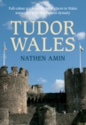 Tudor Wales : Full-Colour Guide to the Many Places in Wales Associated with This Famous Dynasty - Book