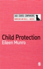 Child Protection - eBook