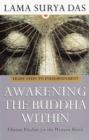 Awakening The Buddha Within - eBook