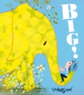 Big! - eBook