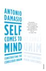 Self Comes to Mind : Constructing the Conscious Brain - eBook