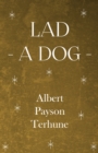 Lad - A Dog - eBook
