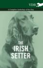 The Irish Setter - A Complete Anthology of the Dog - eBook