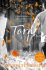 Torn : Book Two in the Trylle Trilogy - eBook