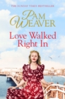 Love Walked Right In - eBook