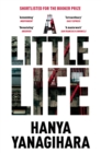 A Little Life - Book