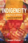 Indigeneity: a politics of potential : Australia, Fiji and New Zealand - eBook