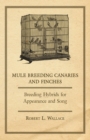 Mule Breeding Canaries and Finches - Breeding Hybrids for Appearance and Song - eBook