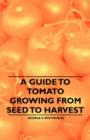 A Guide to Tomato Growing from Seed to Harvest - eBook
