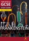 Frankenstein: York Notes for GCSE everything you need to catch up, study and prepare for and 2023 and 2024 exams and assessments - Book