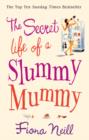 The Secret Life of a Slummy Mummy - eBook