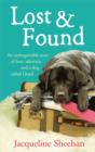 Lost & Found - eBook
