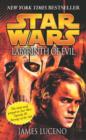 Star Wars: Labyrinth of Evil - eBook