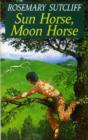 Sun Horse, Moon Horse - eBook