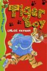 Tiger Boy - eBook