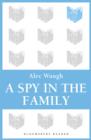 A Spy in the Family : An Erotic Comedy - eBook