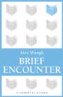 Brief Encounter - eBook