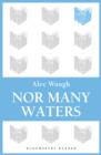 Nor Many Waters - eBook