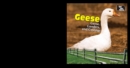 Geese - eBook