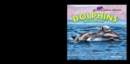Dolphins : Life in the Pod - eBook