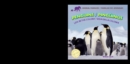 Penguins: Life in the Colony / Pinguinos: Vida en la colonia - eBook