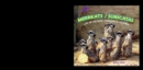 Meerkats: Life in the Mob / Suricatas: Vida en la colonia - eBook