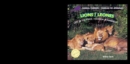 Lions: Life in the Pride / Leones: Vida en la manada - eBook