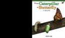 From Caterpillar to Butterfly: A Life Cycle - eBook