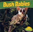 Bush Babies - eBook