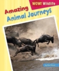 Amazing Animal Journeys - eBook