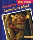 Amazing Animals at Night - eBook