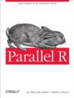 Parallel R : Data Analysis in the Distributed World - eBook