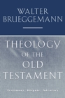 Theology of the Old Testament : Testimony, Dispute, Advocacy - eBook
