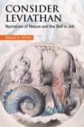 Consider Leviathan : Narratives of Nature and the Self in Job - eBook