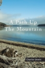 A Path up the Mountain - eBook