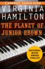 The Planet of Junior Brown - eBook