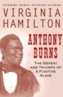 Anthony Burns : The Defeat and Triumph of a Fugitive Slave - eBook