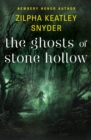 The Ghosts of Stone Hollow - eBook