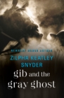 Gib and the Gray Ghost - eBook