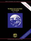 World Economic Outlook, May 1999: International Financial Contagion - eBook