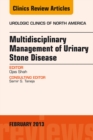 Multidisciplinary Management of Urinary Stone Disease, An Issue of Urologic Clinics - eBook