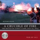 A Crucible of Fire : The Battle of Lundy's Lane, July 25, 1814 - eBook
