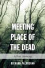 Meeting Place of the Dead : A True Haunting - eBook