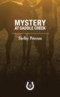 Mystery at Saddle Creek : The Saddle Creek Series - eBook