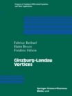 Ginzburg-Landau Vortices - eBook