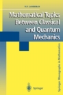 Mathematical Topics Between Classical and Quantum Mechanics - eBook