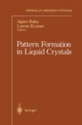 Pattern Formation in Liquid Crystals - eBook